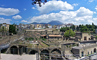 DAILY TRANSFER FROM NAPLES TO HERCULANEUM RUINS AND VESUVIUS