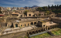 DAILY TRANSFER FROM NAPLES TO HERCULANEUM RUINS